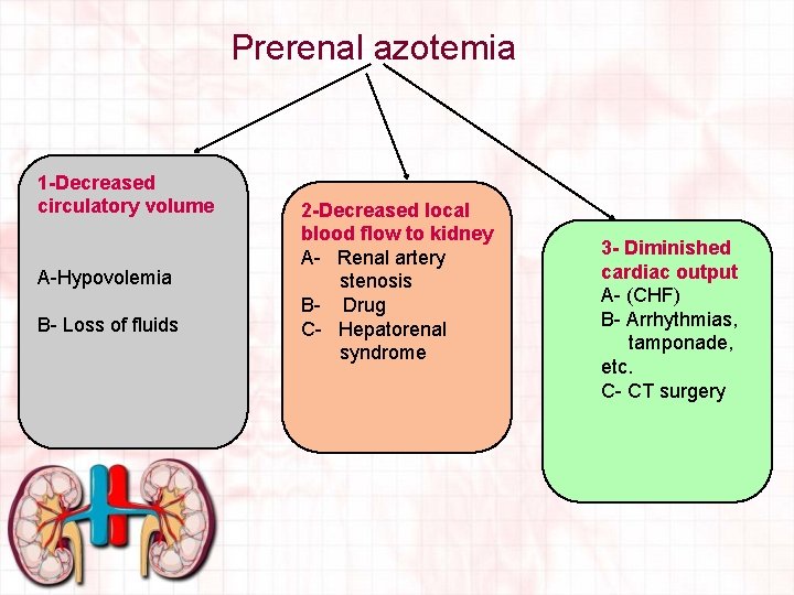 Prerenal azotemia 1 -Decreased circulatory volume A-Hypovolemia B- Loss of fluids 2 -Decreased local