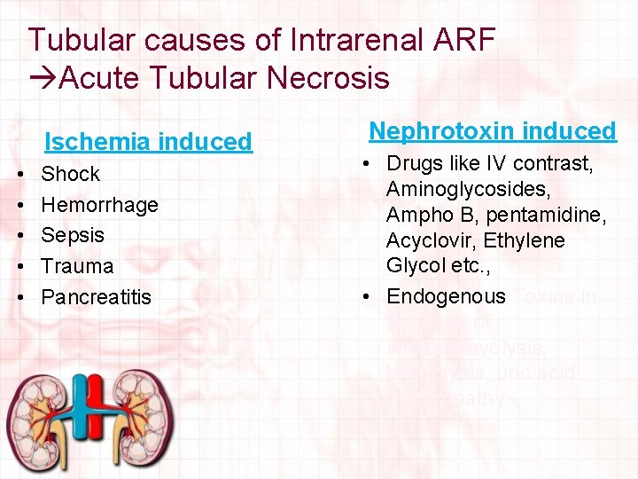 Tubular causes of Intrarenal ARF Acute Tubular Necrosis Ischemia induced • • • Shock