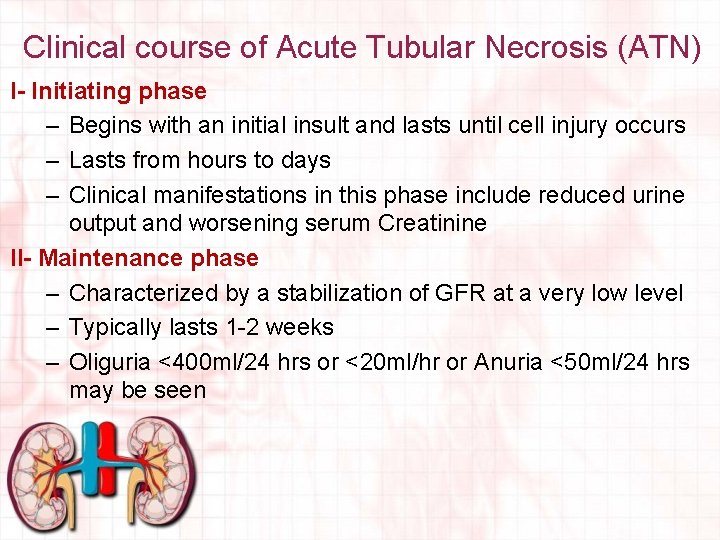 Clinical course of Acute Tubular Necrosis (ATN) I- Initiating phase – Begins with an