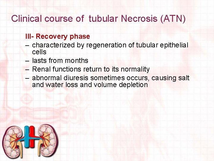 Clinical course of tubular Necrosis (ATN) III- Recovery phase – characterized by regeneration of