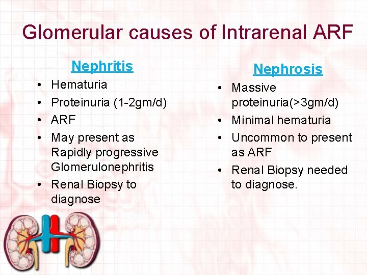 Glomerular causes of Intrarenal ARF Nephritis Nephrosis Hematuria Proteinuria (1 -2 gm/d) ARF May