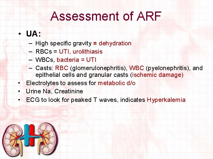 Assessment of ARF • UA: – – High specific gravity = dehydration RBCs =