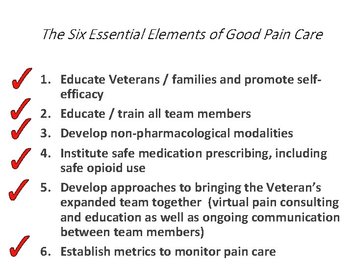 The Six Essential Elements of Good Pain Care 1. Educate Veterans / families and