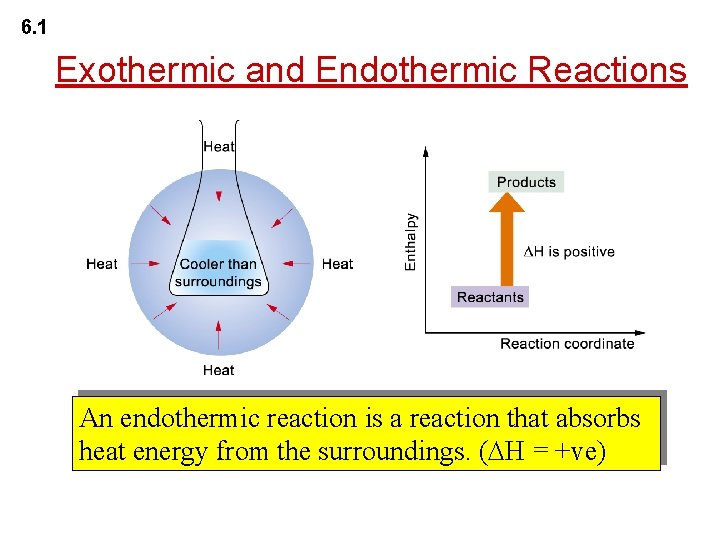 6. 1 Exothermic and Endothermic Reactions An endothermic reaction is a reaction that absorbs