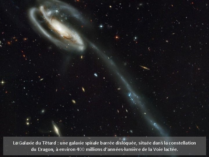 La Galaxie du Têtard : une galaxie spirale barrée disloquée, située dans la constellation