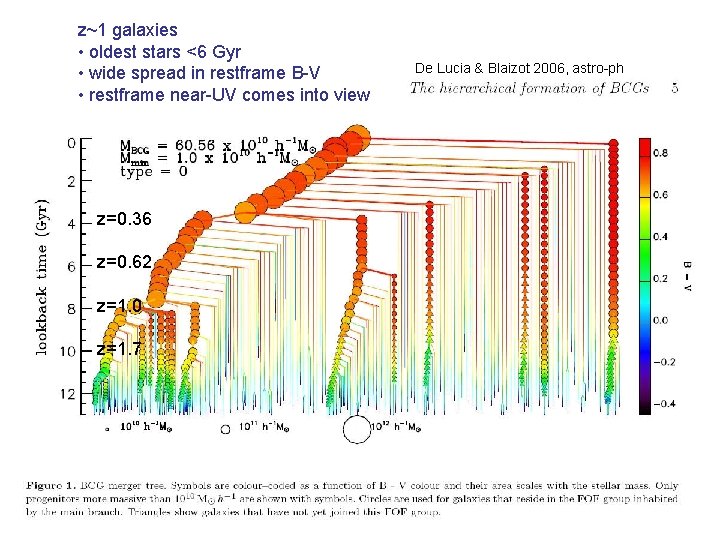 z~1 galaxies • oldest stars <6 Gyr • wide spread in restframe B-V •