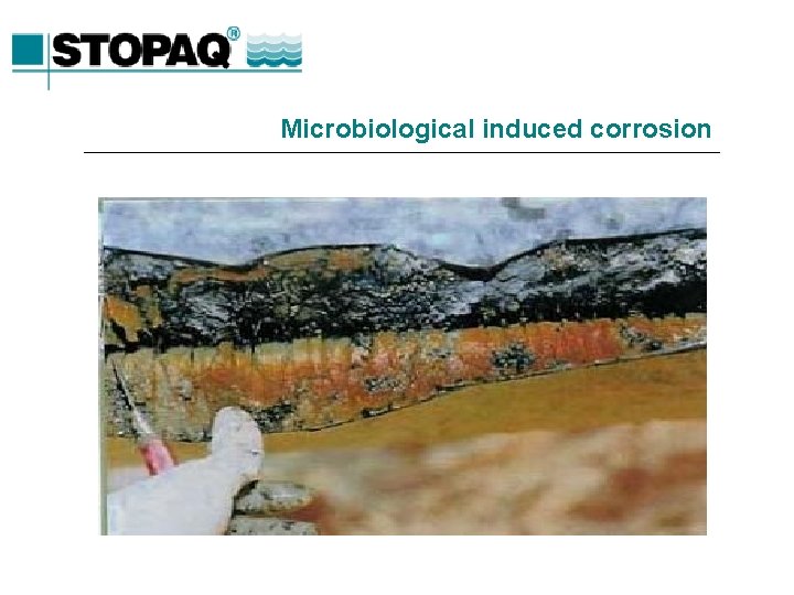 Microbiological induced corrosion 