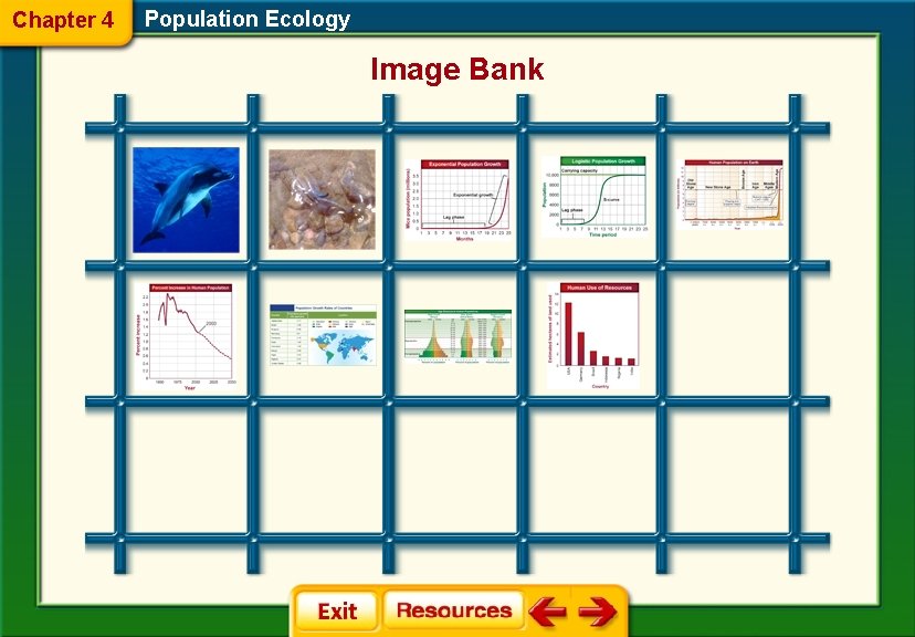 Chapter 4 Population Ecology Image Bank 