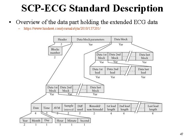 SCP-ECG Standard Description • Overview of the data part holding the extended ECG data