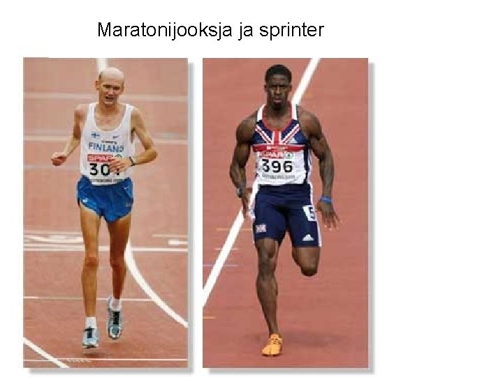 Maratonijooksja ja sprinter 