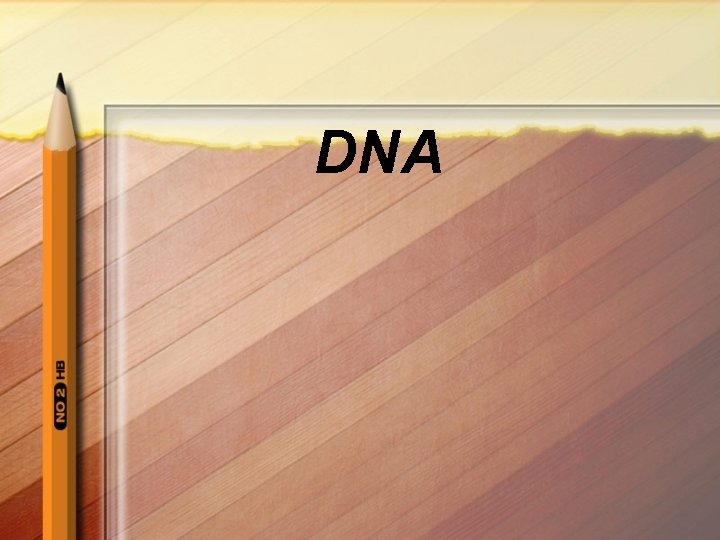 DNA 