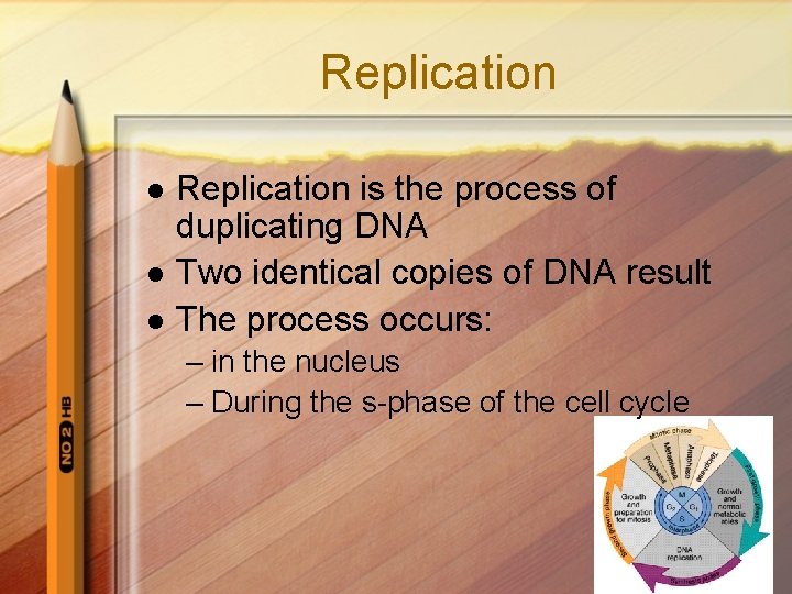 Replication l l l Replication is the process of duplicating DNA Two identical copies