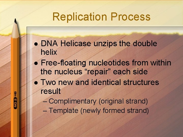 Replication Process l l l DNA Helicase unzips the double helix Free-floating nucleotides from