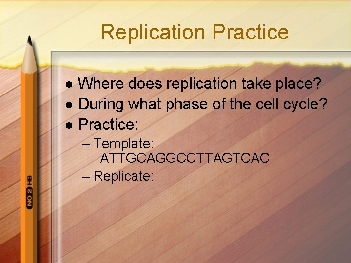 Replication Practice l l l Where does replication take place? During what phase of