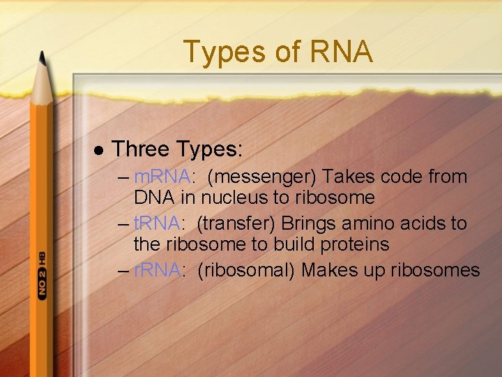 Types of RNA l Three Types: – m. RNA: (messenger) Takes code from DNA