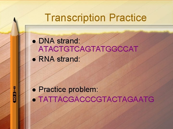 Transcription Practice l l DNA strand: ATACTGTCAGTATGGCCAT RNA strand: Practice problem: TATTACGACCCGTACTAGAATG 
