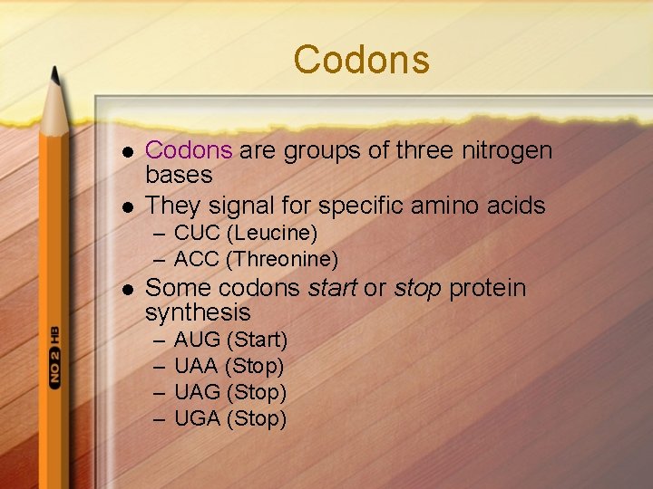 Codons l l Codons are groups of three nitrogen bases They signal for specific