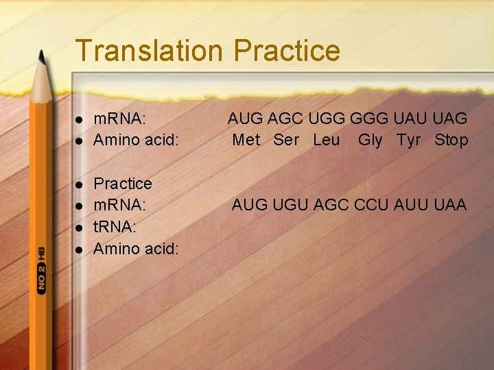 Translation Practice l l l m. RNA: Amino acid: Practice m. RNA: t. RNA: