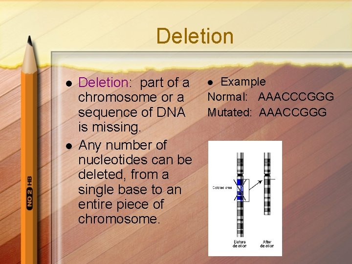 Deletion l l Deletion: part of a chromosome or a sequence of DNA is