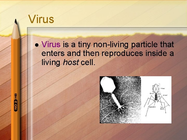 Virus l Virus is a tiny non-living particle that enters and then reproduces inside