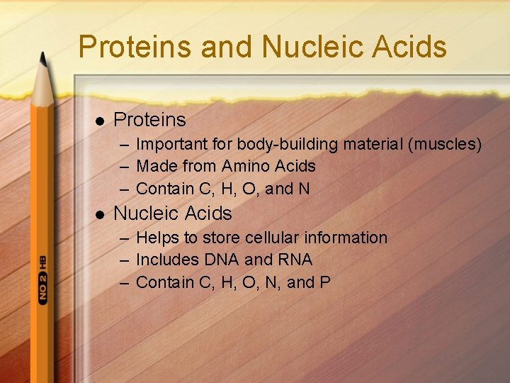 Proteins and Nucleic Acids l Proteins – Important for body-building material (muscles) – Made