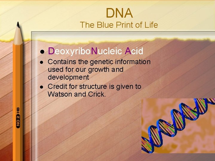 DNA The Blue Print of Life l Deoxyribo. Nucleic Acid l Contains the genetic