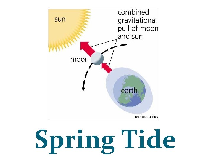 Spring Tide 