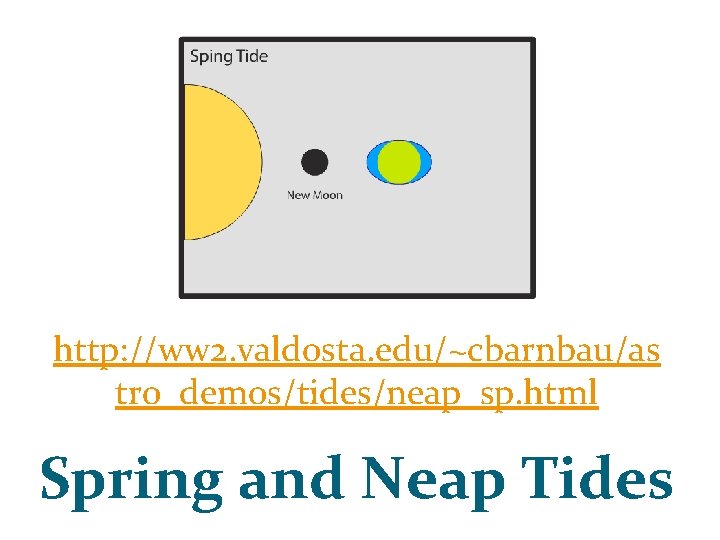 http: //ww 2. valdosta. edu/~cbarnbau/as tro_demos/tides/neap_sp. html Spring and Neap Tides 