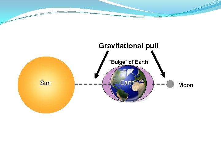 Gravitational pull “Bulge” of Earth Sun Earth Moon 8 