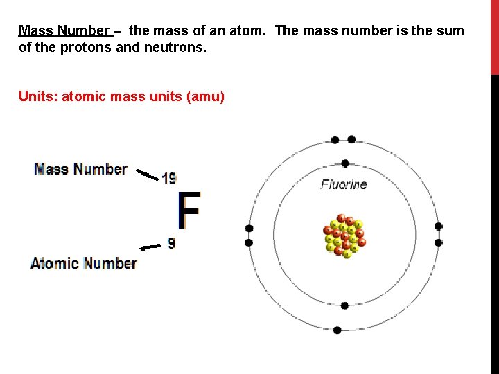 Mass Number – the mass of an atom. The mass number is the sum