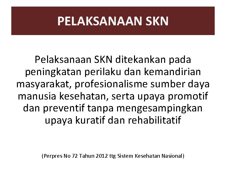 PELAKSANAAN SKN Pelaksanaan SKN ditekankan pada peningkatan perilaku dan kemandirian masyarakat, profesionalisme sumber daya PELAKSANAAN SKN Pelaksanaan SKN ditekankan pada peningkatan perilaku dan kemandirian masyarakat, profesionalisme sumber daya