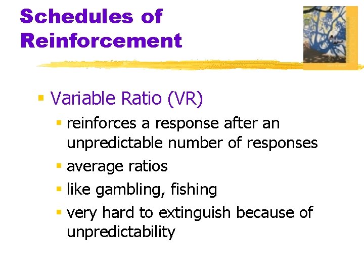 Schedules of Reinforcement § Variable Ratio (VR) § reinforces a response after an unpredictable