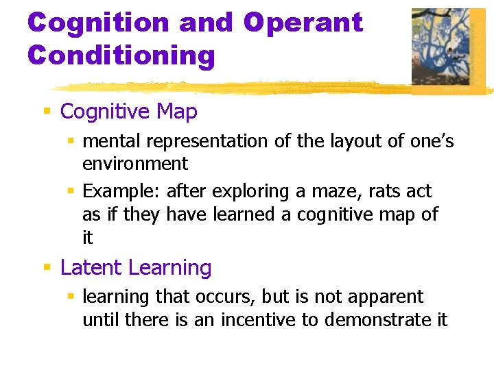 Cognition and Operant Conditioning § Cognitive Map § mental representation of the layout of