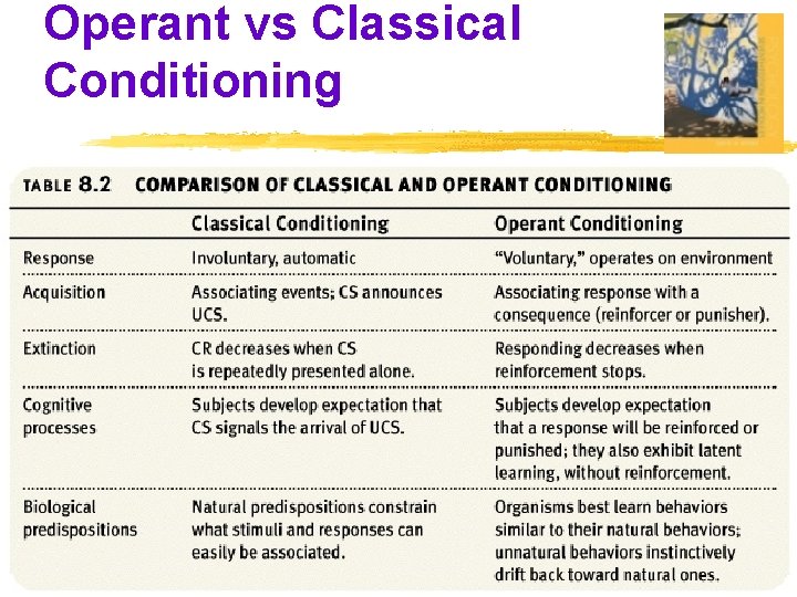 Operant vs Classical Conditioning 