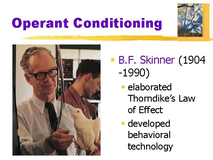 Operant Conditioning § B. F. Skinner (1904 -1990) § elaborated Thorndike’s Law of Effect