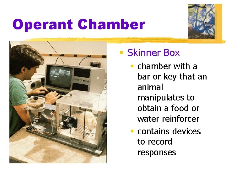 Operant Chamber § Skinner Box § chamber with a bar or key that an