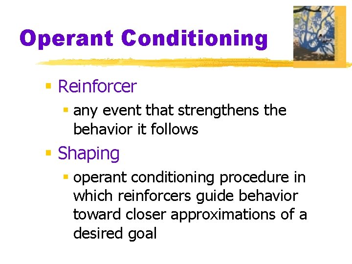 Operant Conditioning § Reinforcer § any event that strengthens the behavior it follows §