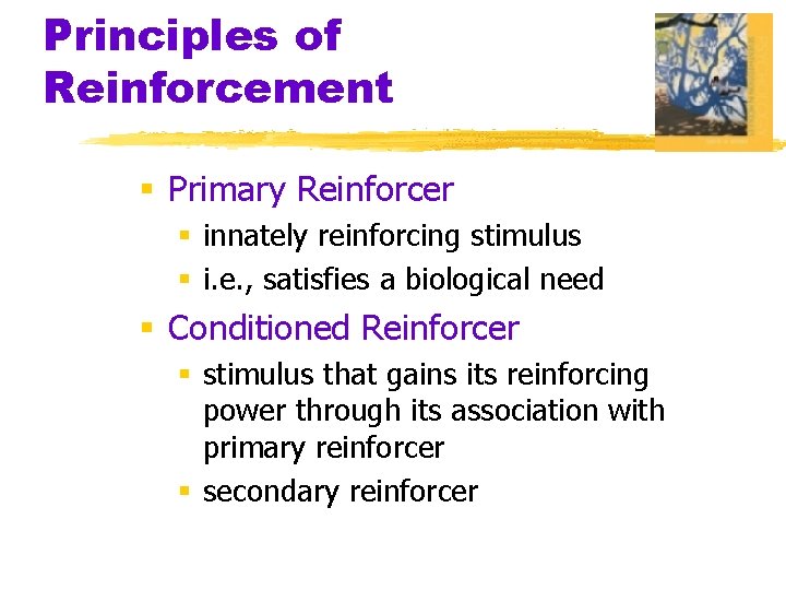 Principles of Reinforcement § Primary Reinforcer § innately reinforcing stimulus § i. e. ,