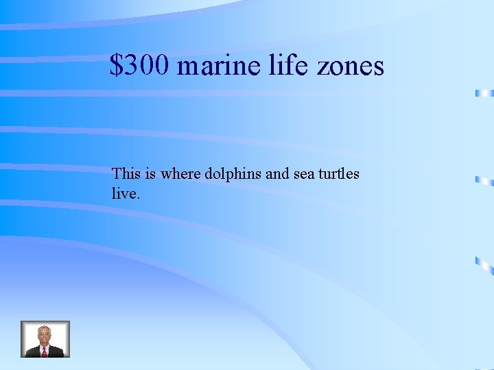$300 marine life zones This is where dolphins and sea turtles live. 