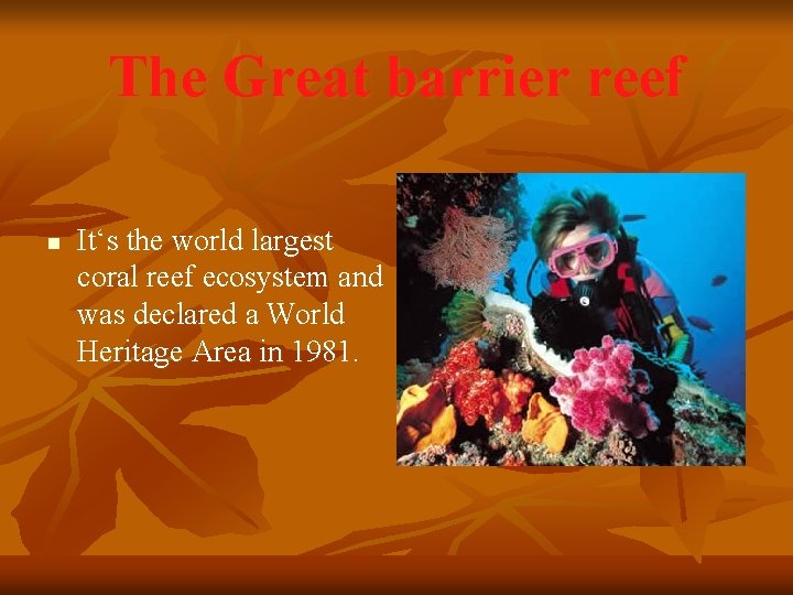 The Great barrier reef n It‘s the world largest coral reef ecosystem and was