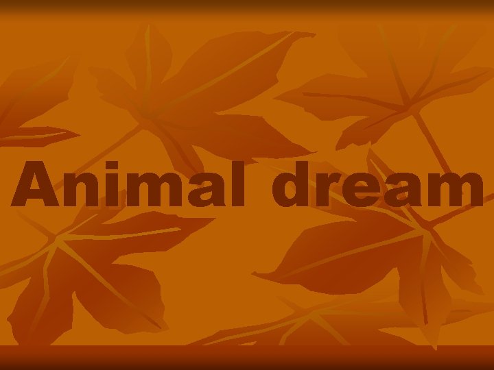 Animal dream 