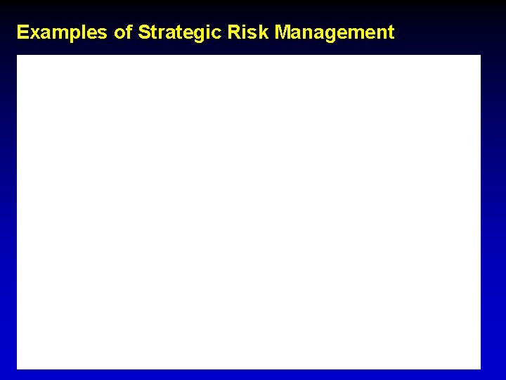 Examples of Strategic Risk Management 