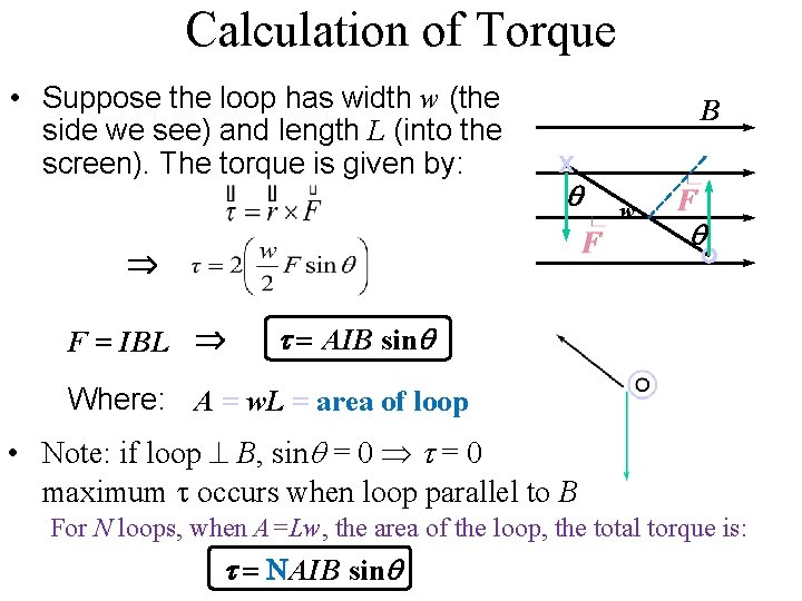 Calculation of Torque • Suppose the loop has width w (the side we see)