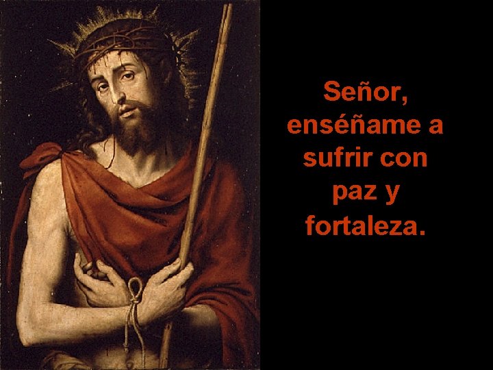 Señor, enséñame a sufrir con paz y fortaleza. 