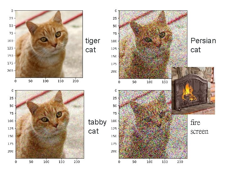 tiger cat tabby cat Persian cat fire screen 