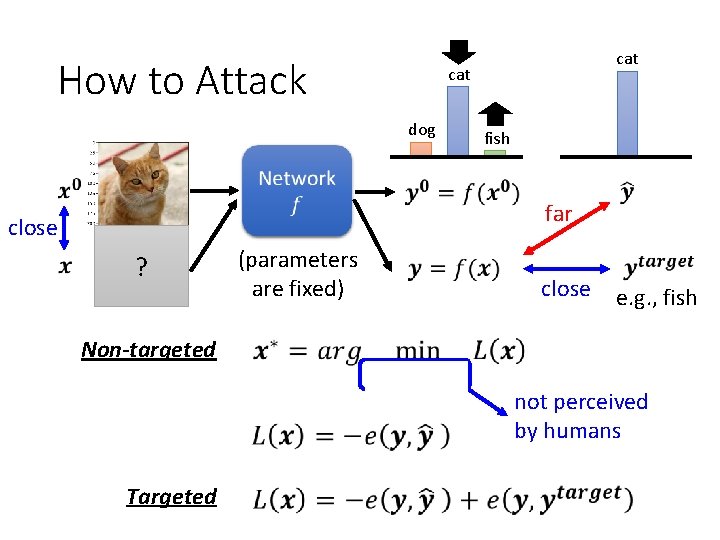 How to Attack cat dog fish far close ? (parameters are fixed) close e.