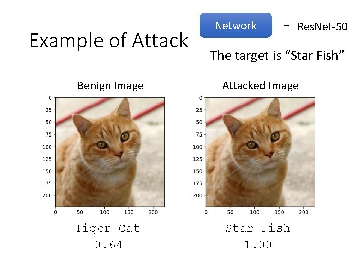Example of Attack Network = Res. Net-50 The target is “Star Fish” Benign Image