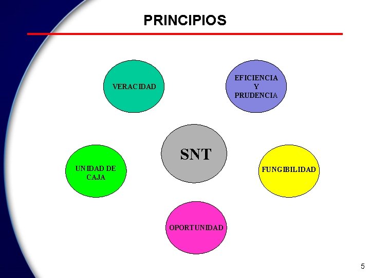 PRINCIPIOS EFICIENCIA Y PRUDENCIA VERACIDAD SNT UNIDAD DE CAJA FUNGIBILIDAD OPORTUNIDAD 5 