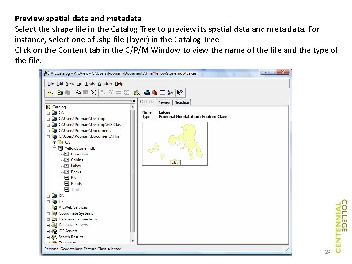 Preview spatial data and metadata Select the shape file in the Catalog Tree to Preview spatial data and metadata Select the shape file in the Catalog Tree to