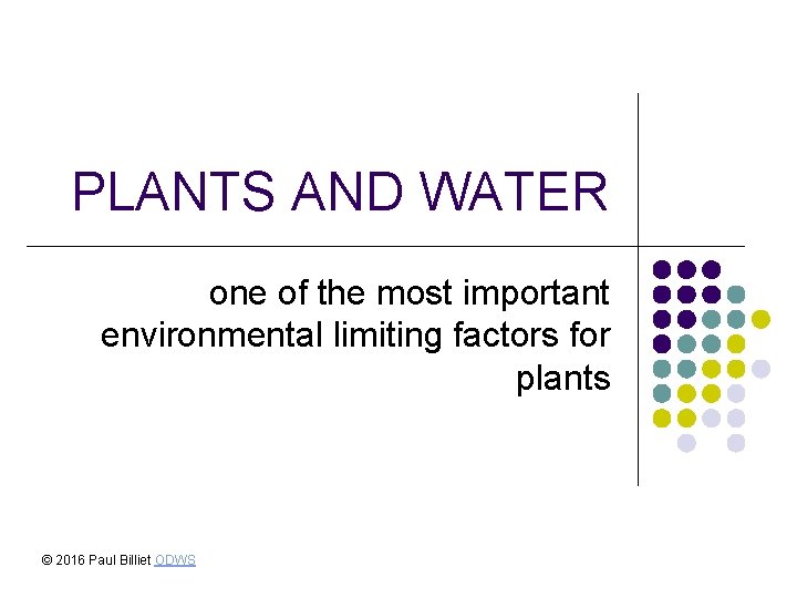 PLANTS AND WATER one of the most important environmental limiting factors for plants ©